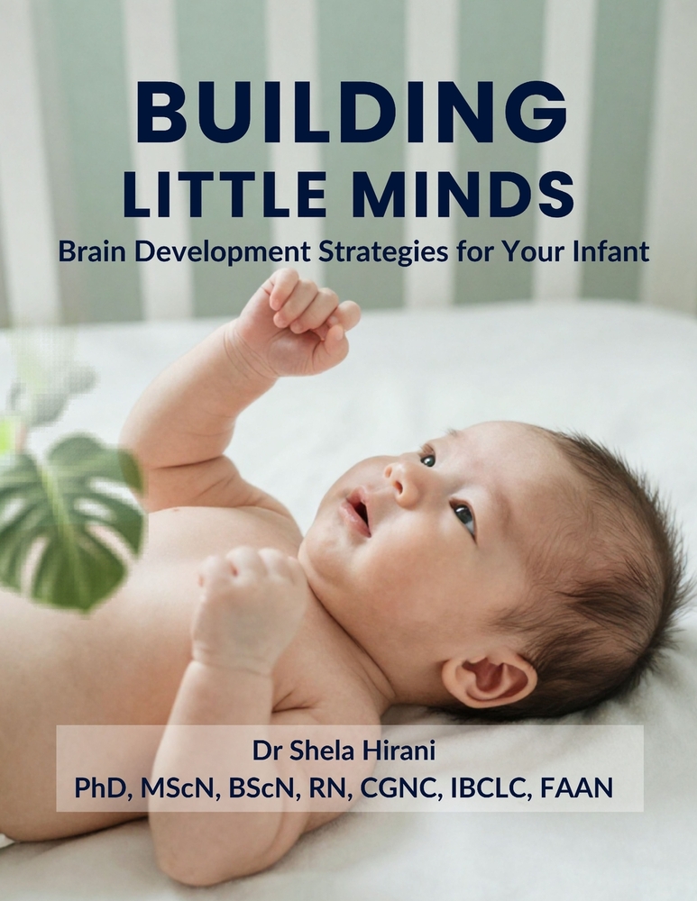 Building Little Minds - Brain Development Strategies for Your Infants cover