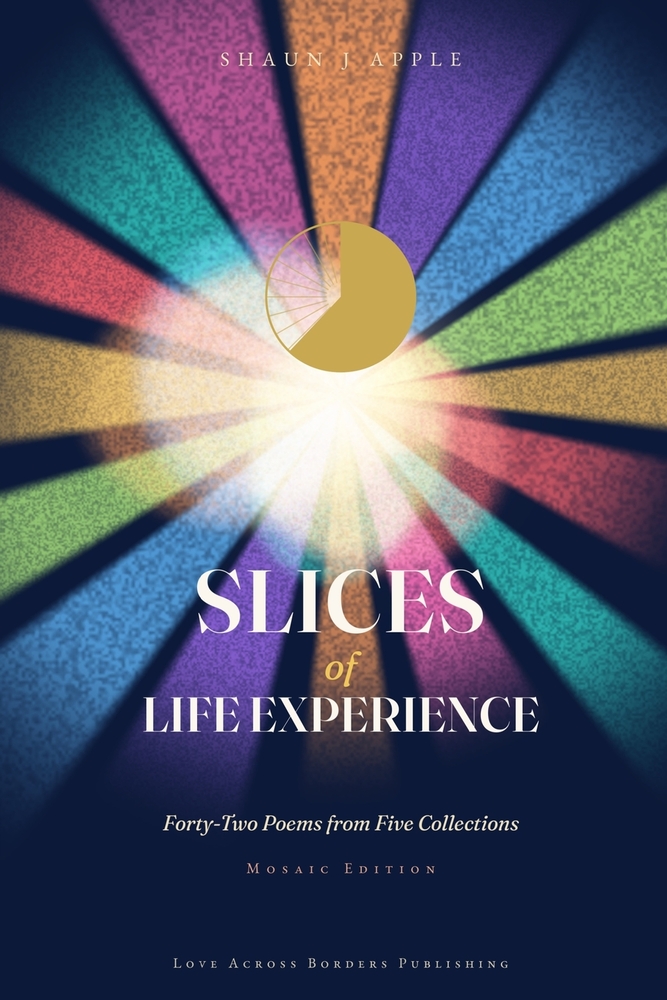 Slices of Life Experience cover