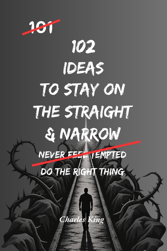 102 Ideas To Stay On The Straight And Narrow: Practical Ways To Make Better Choices, Avoid Trouble And Do The Right Thing cover