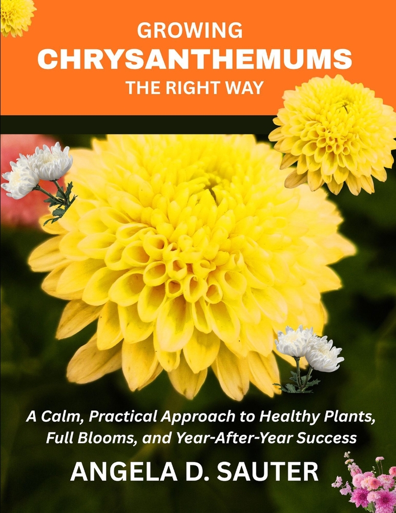 Growing Chrysanthemums the Right Way: A Calm, Practical Approach to Healthy Plants, Full Blooms, and Year-After-Year Success cover