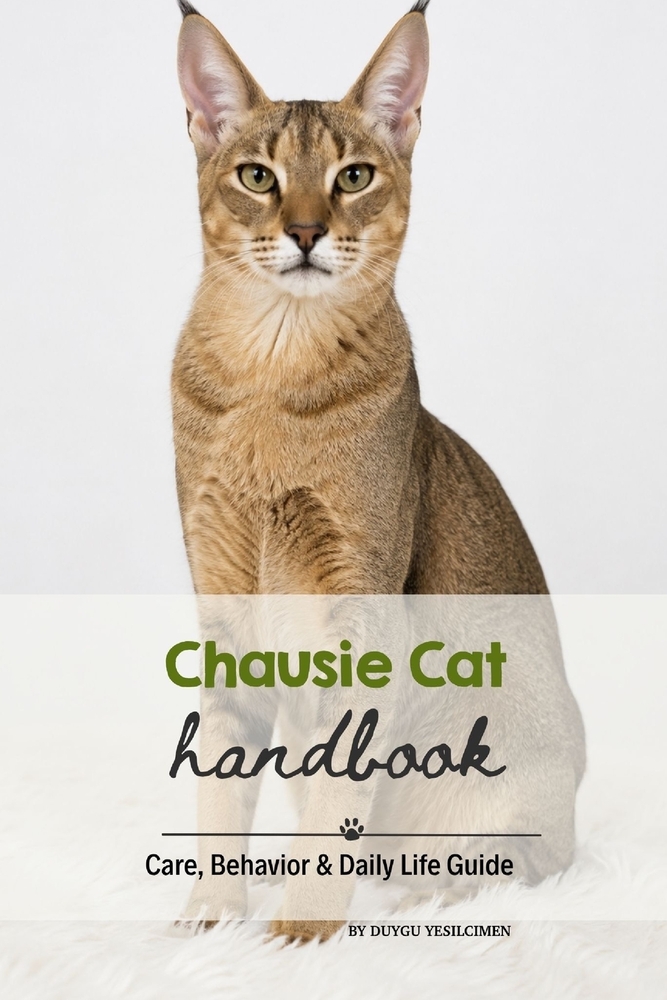 Chausie Cat: Care, Behavior & Daily Life Guide cover