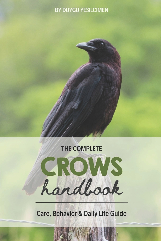 Crows Handbook: Care, Behavior & Daily Life Guide cover