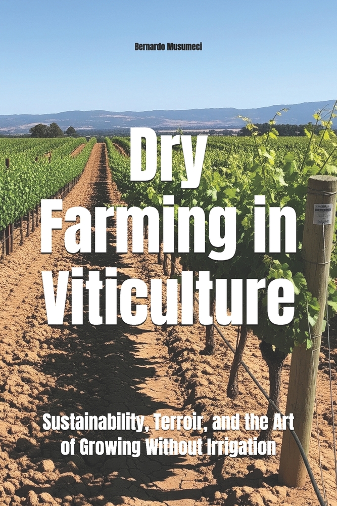 Dry Farming in Viticulture: Sustainability, Terroir, and the Art of Growing Without Irrigation cover