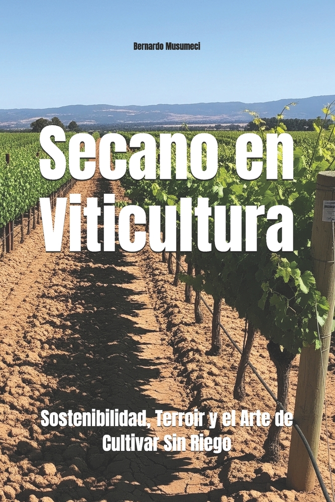 Secano en Viticultura: Sostenibilidad, Terroir y el Arte de Cultivar Sin Riego cover