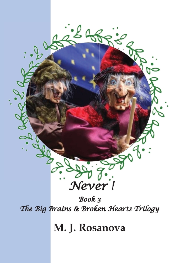 Never !: Book 3 The Big Brains & Broken Hearts Trilogy cover