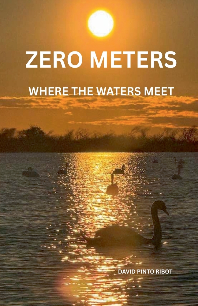 Zero Meters: Where the Waters Meet cover