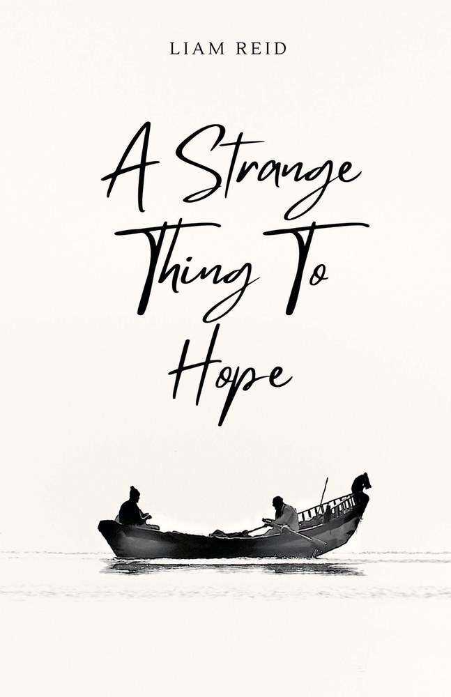 A Strange Thing to Hope cover