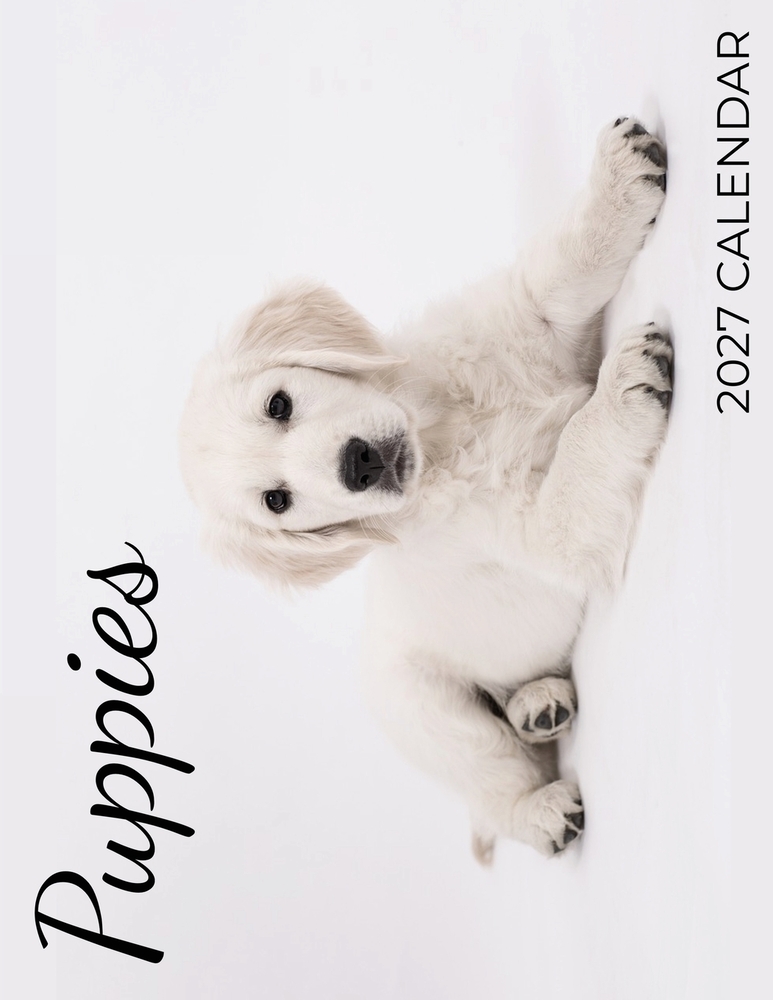 Puppies 2027 Calendar cover