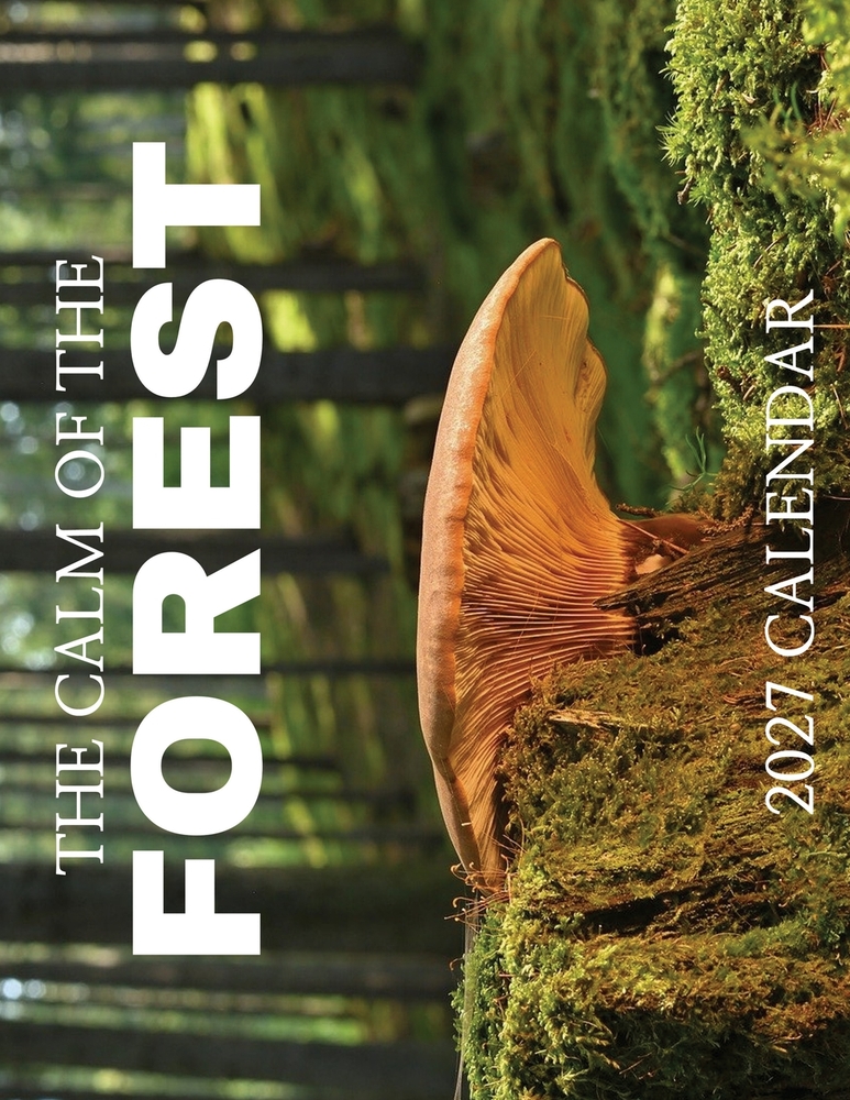 The Calm of the Forest 2027 Calendar cover
