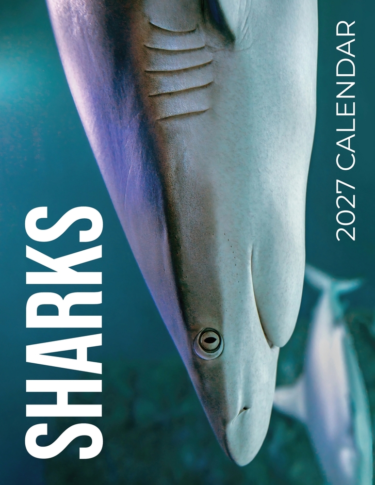Sharks 2027 Calendar cover