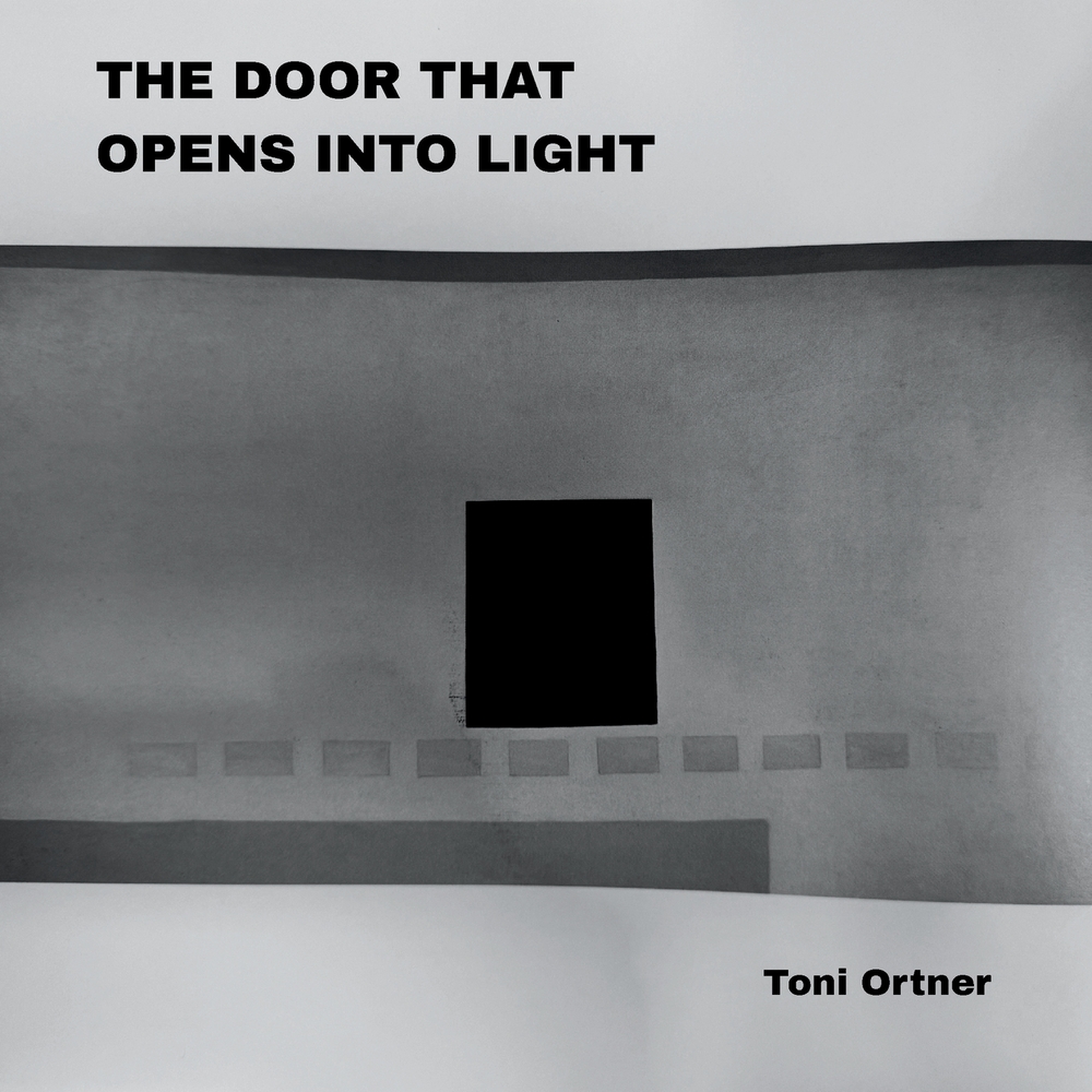 The Door That Opens Into Light cover