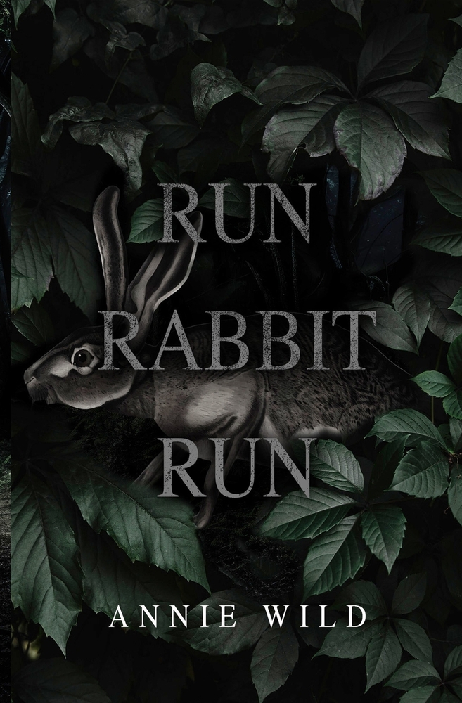 Run Rabbit Run: A Dark Stalker Romance cover