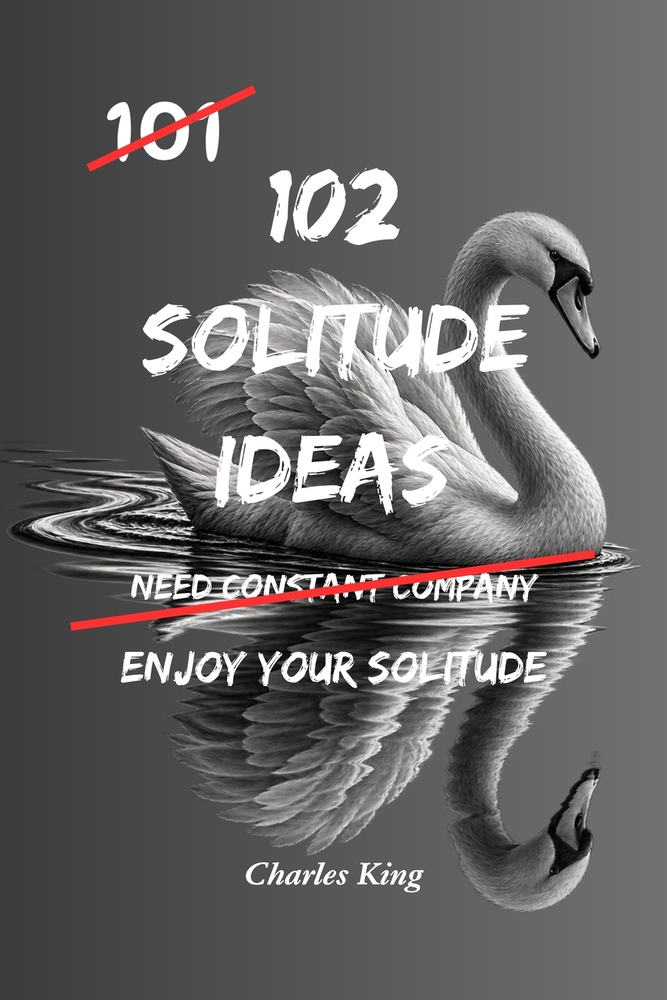 102 Solitude Ideas: No Pressure. No Performance. Just Simple Ways to Feel Comfortable In Your Own Company cover