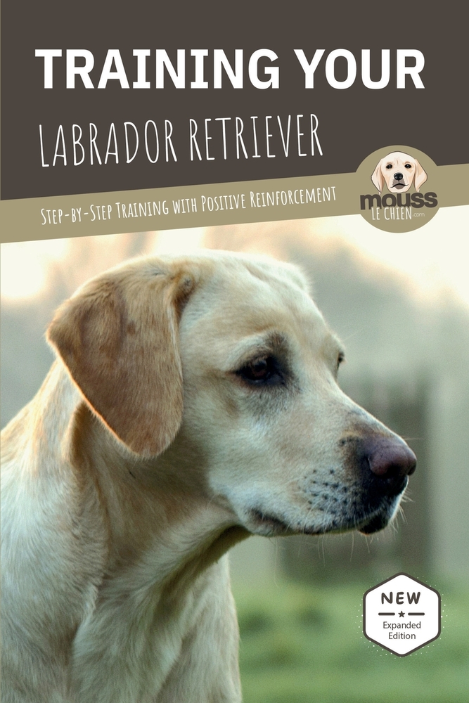 Training Your Labrador Retriever: Step-by-Step Training with Positive Reinforcement cover