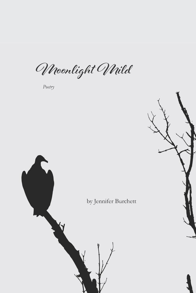 Moonlight Mild: Poetry cover