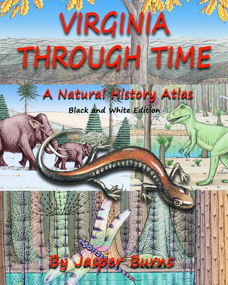 Virginia Through Time: A Natural History Atlas cover