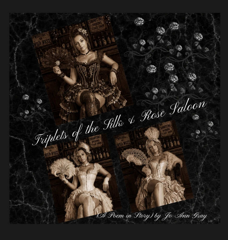 Triplets of the Silk & Rose Saloon (A Poem in Story) cover