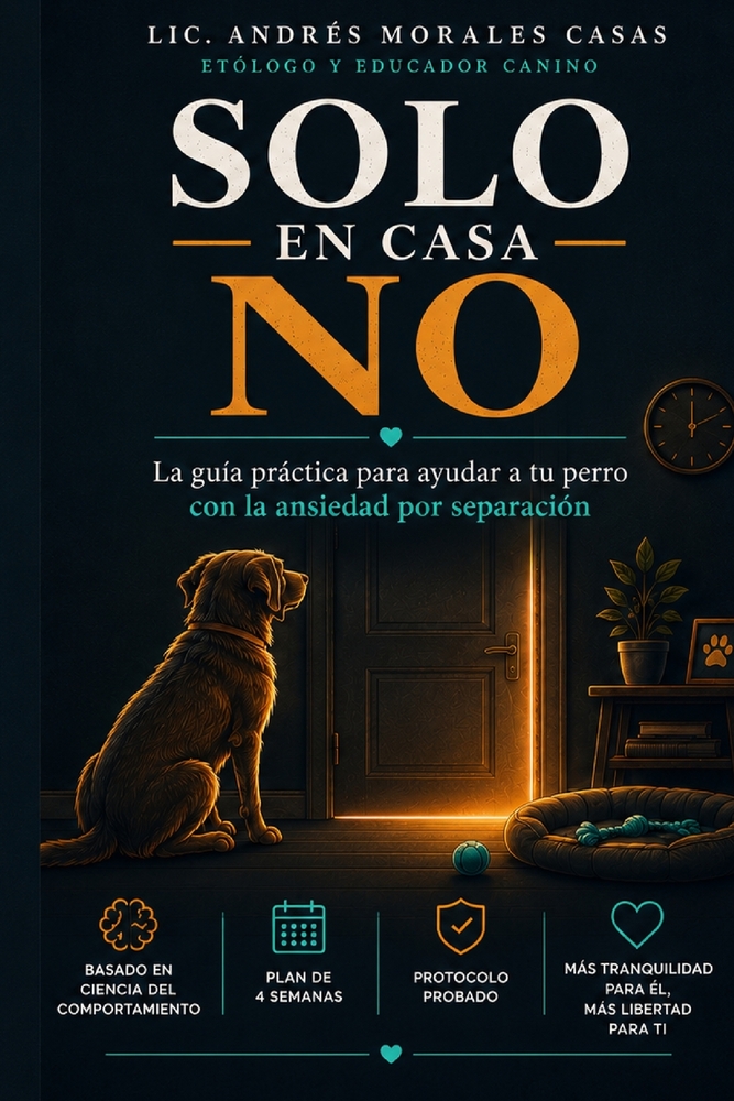 Solo en Casa No: La guía práctica y compasiva para ayudar a tu perro con la ansiedad por separación: entiende las causas, aplica el protocolo paso a p cover