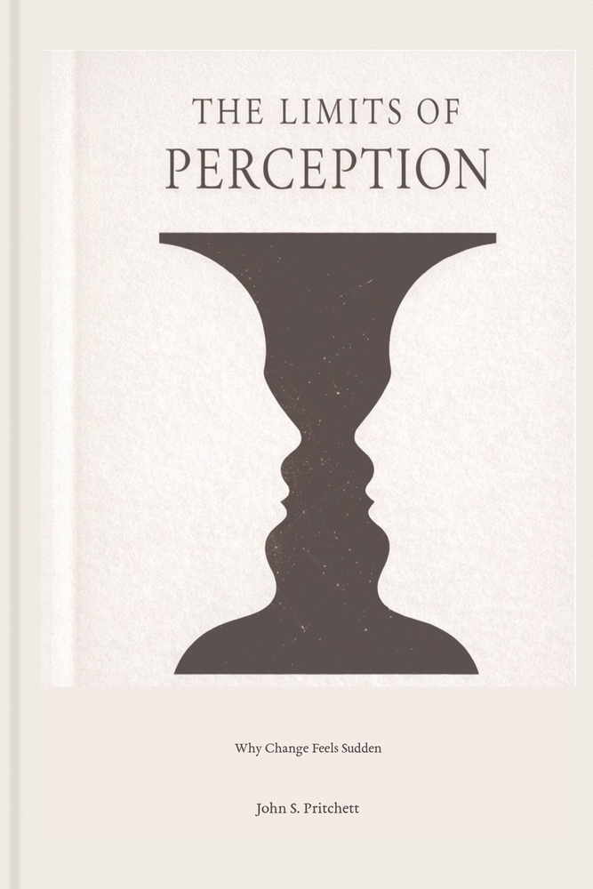 The Limits of Perception cover