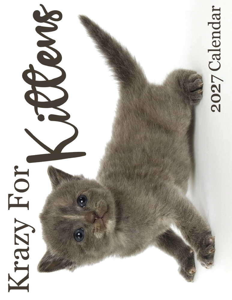 Krazy For Kittens 2027 Calendar cover