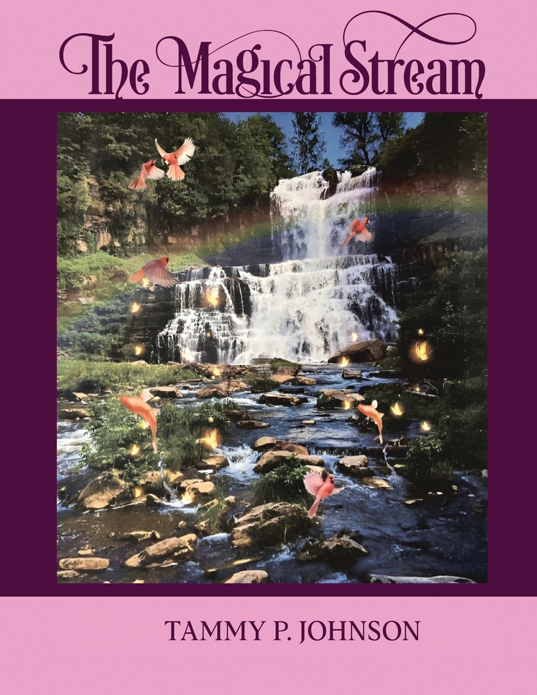 The Magical Stream cover