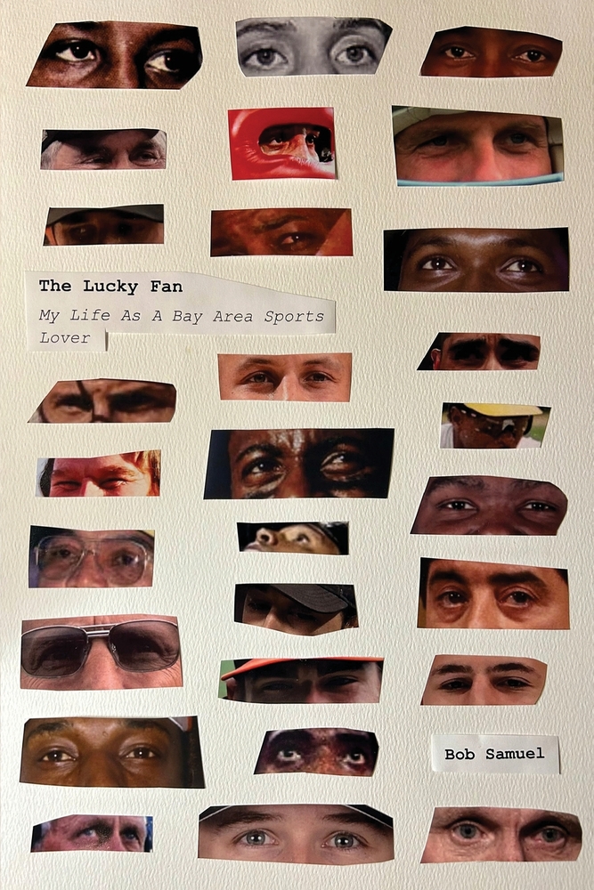 The Lucky Fan cover