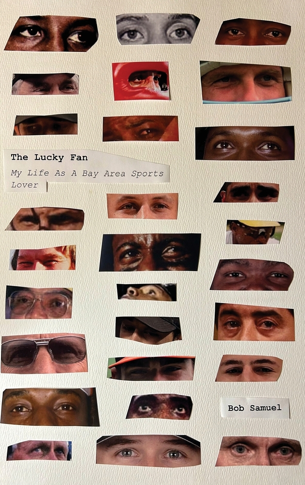 The Lucky Fan cover