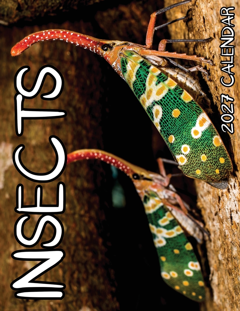 Insects 2027 Calendar cover