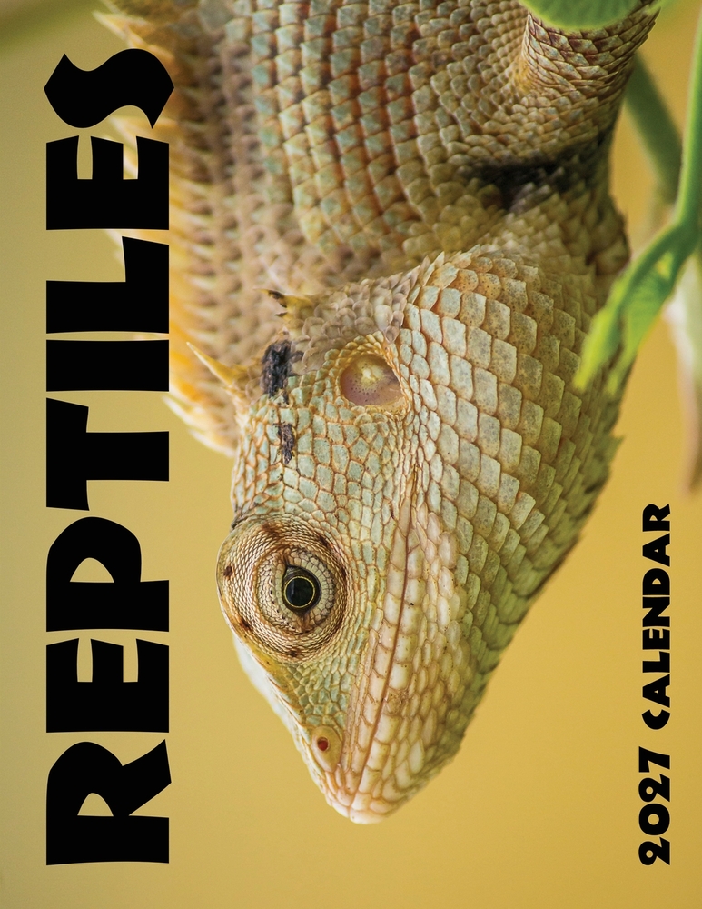 Reptiles 2027 Calendar cover