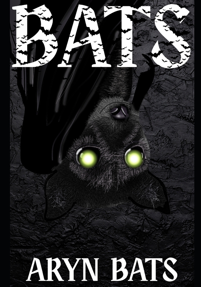 Bats: Re-Written by Aryn Bats cover