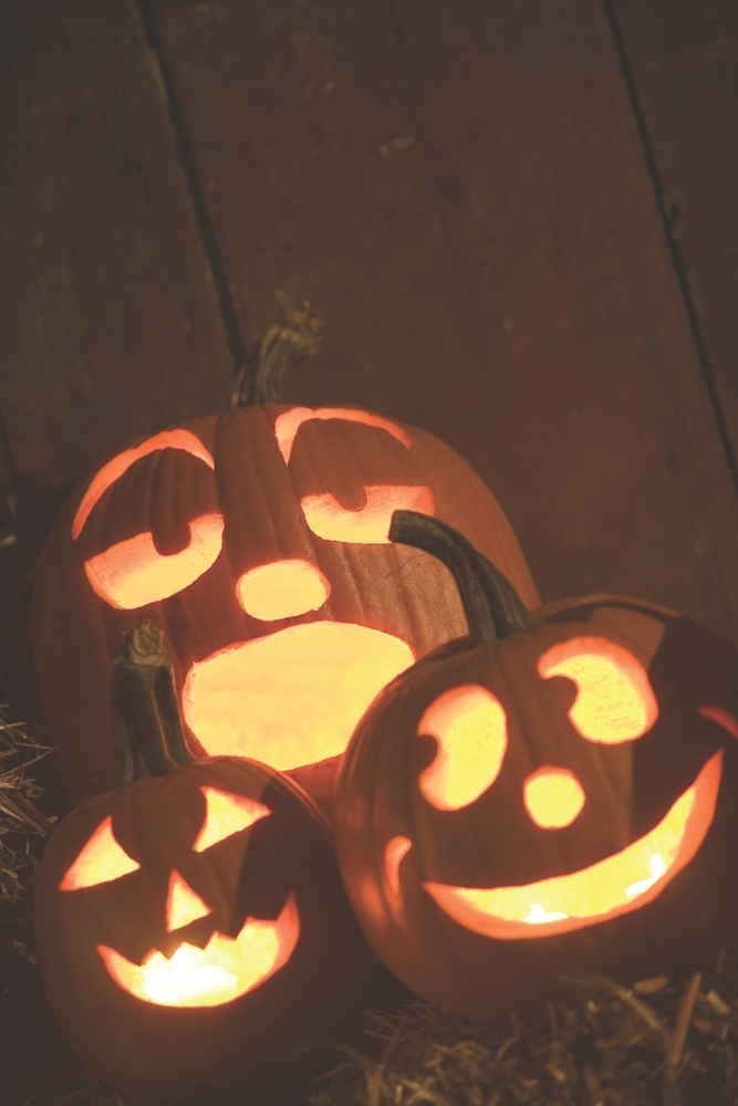SCREAMING IN THE SPOOKY SEASON And Other Tales of Mild Terror & Major Mishaps cover