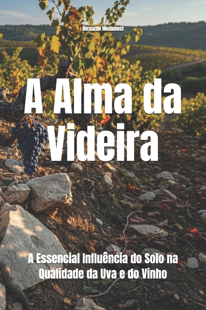 A Alma da Videira: : A Essencial Influência do Solo na Qualidade da Uva e do Vinho cover