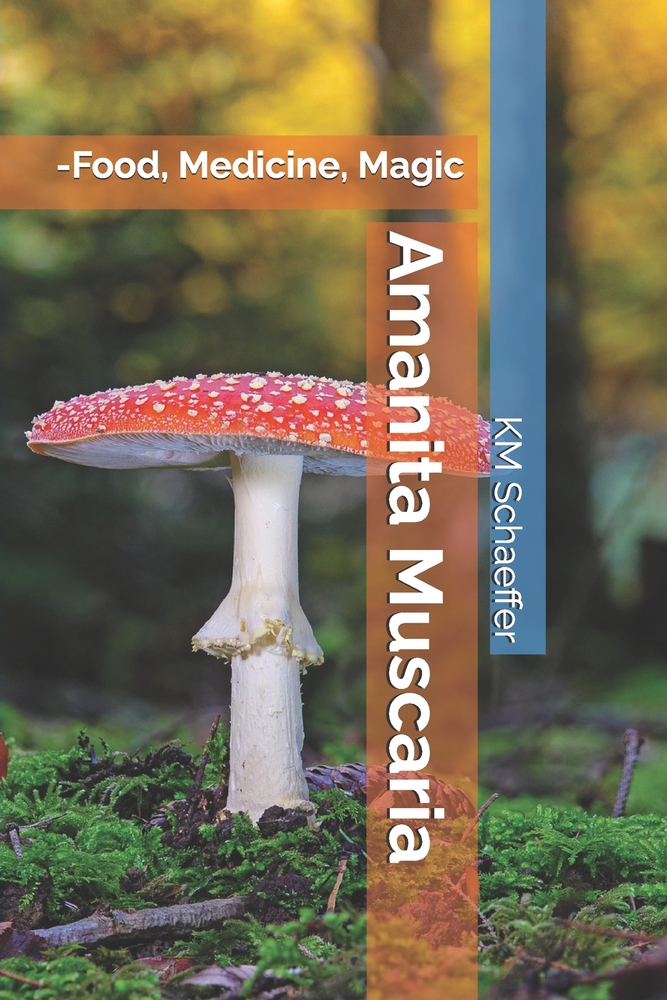 Amanita Muscaria: -Food, Medicine, Magic cover