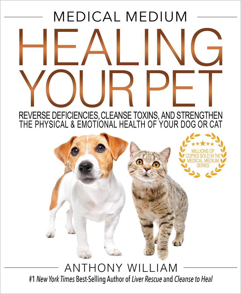 Medical Medium Healing Your Pet: Reverse Deficiencies, Cleanse Toxins, and Strengthen the Physical & Emotional Health of Your Dog or Cat cover