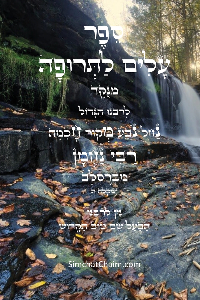 ספר חיי מוהר"ן - רבינו נחמן &# cover