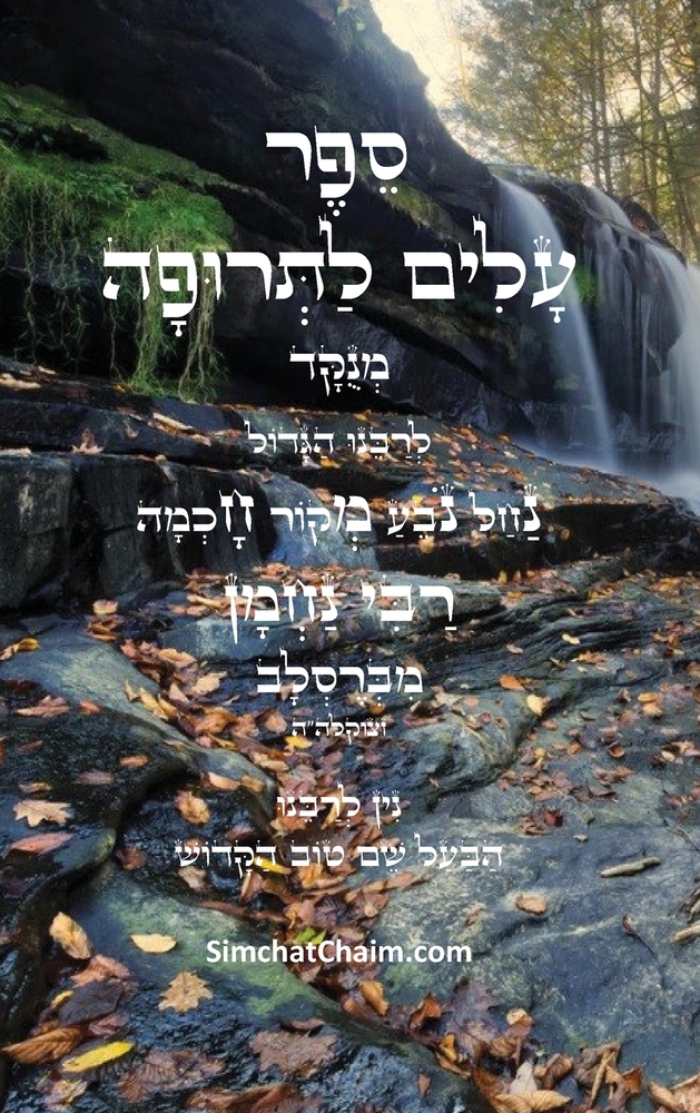ספר חיי מוהר"ן - רבינו נחמן &# cover
