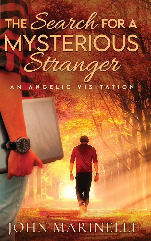 The Search for A Mysterious Stranger: An Angelic Visitation cover