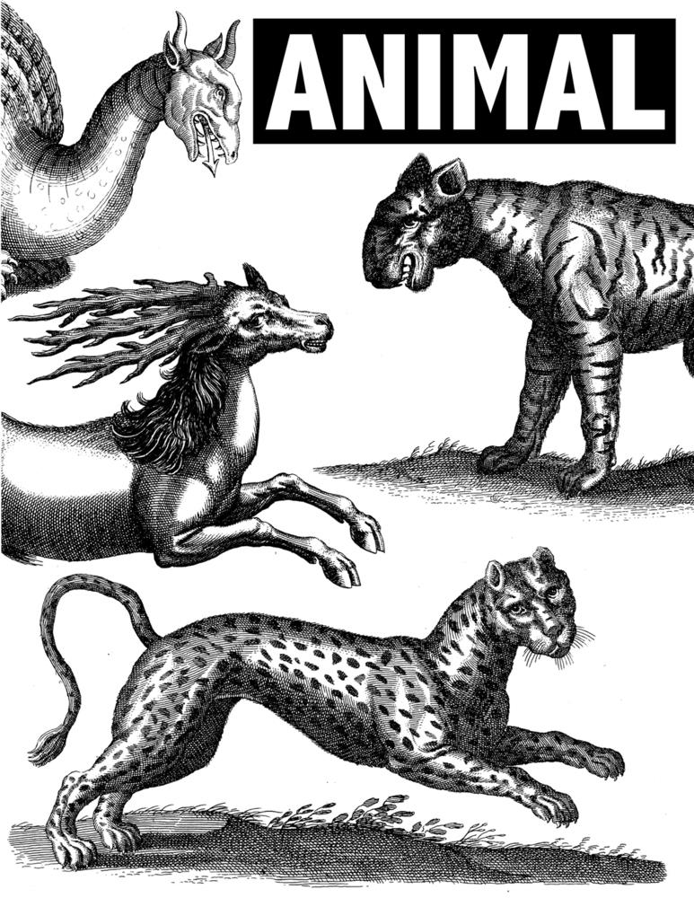 Animal: Esoteric Animal Tattoo and Art Reference cover