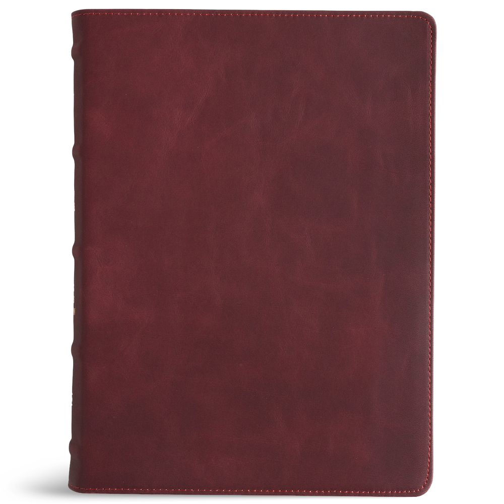 KJV Single-Column Wide-Margin Bible, Holman Handcrafted Collection, Marbled Burgundy Premium Calfskin cover