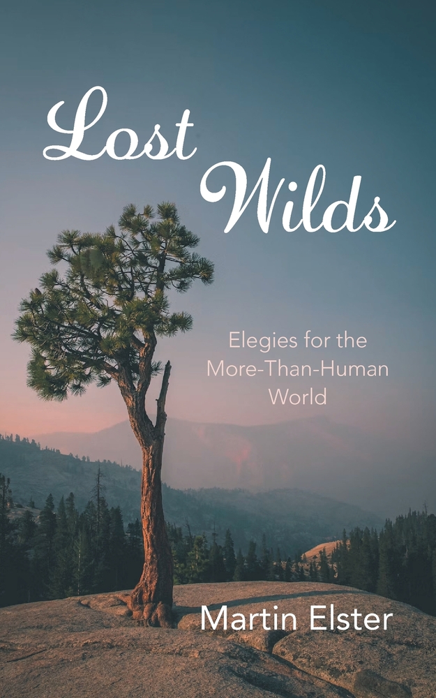 Lost Wilds cover
