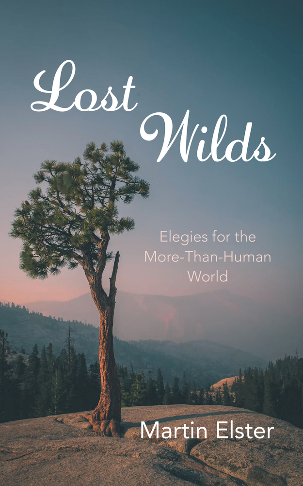 Lost Wilds cover
