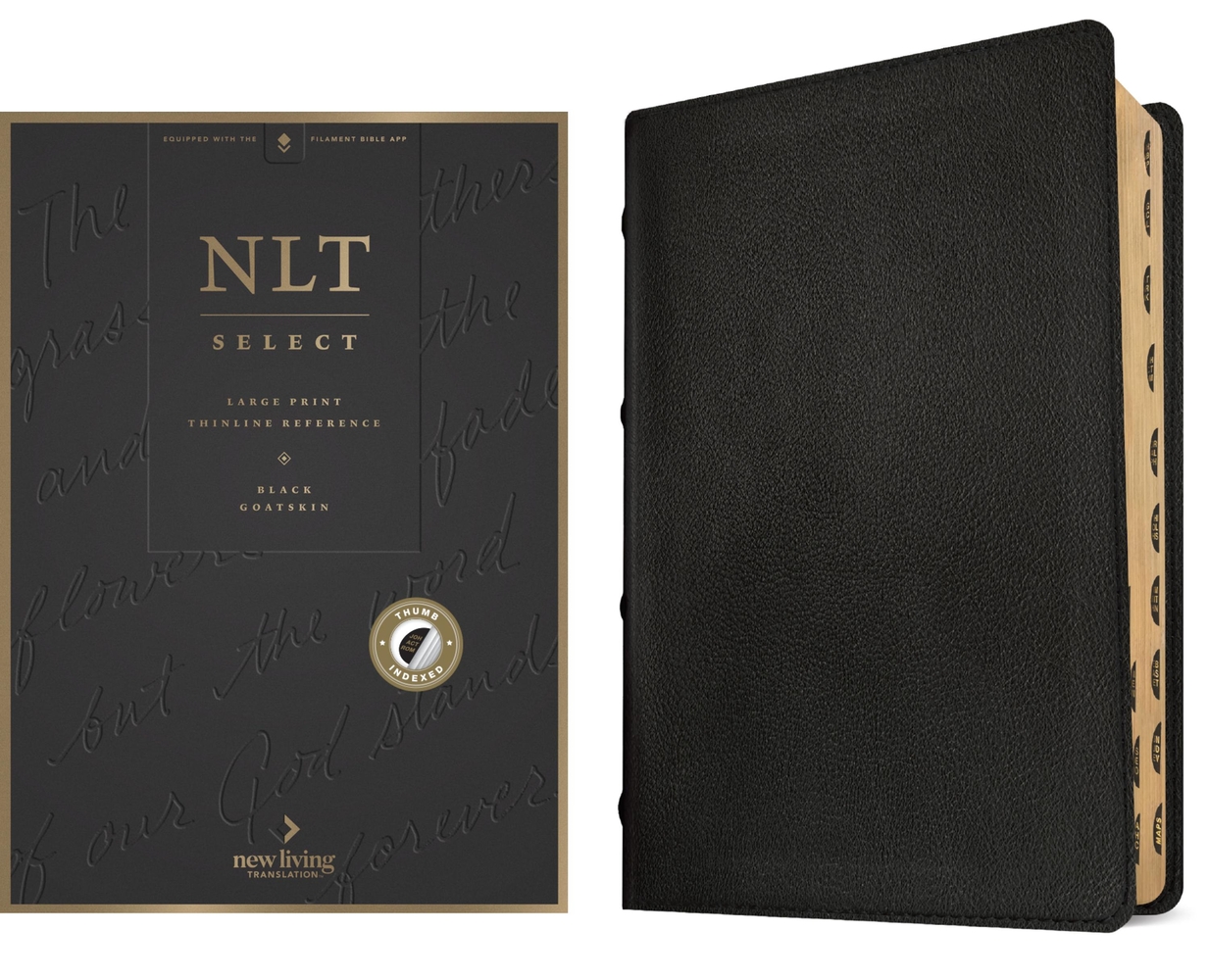 NLT Select Large Print Thinline Reference Bible, Filament Enabled (Goatskin Leather, Black, Indexed, Red Letter) cover