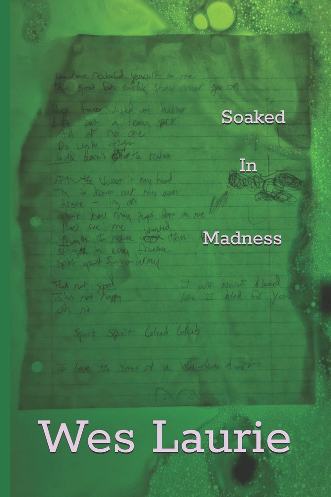 Soaked In Madness cover