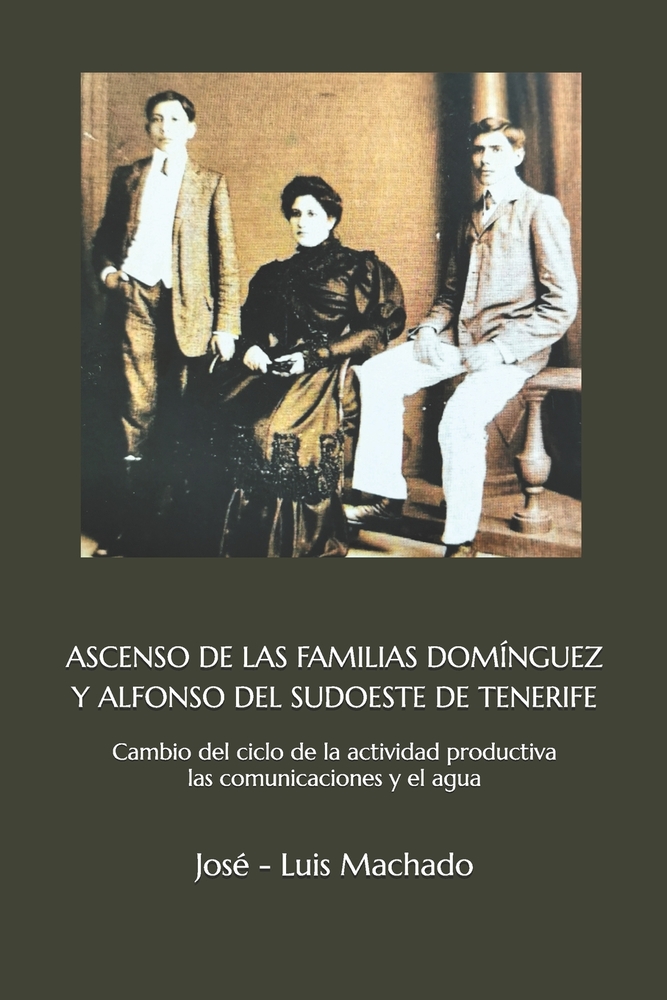 Ascenso de Las Familias Domínguez Y Alfonso del Sudoeste de Tenerife: Cambio del ciclo de la actividad productiva las comunicaciones y el agua cover