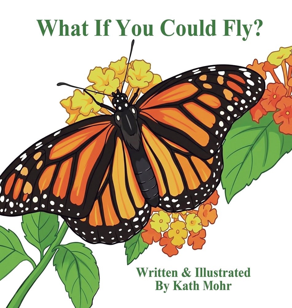 What If You Could Fly? cover