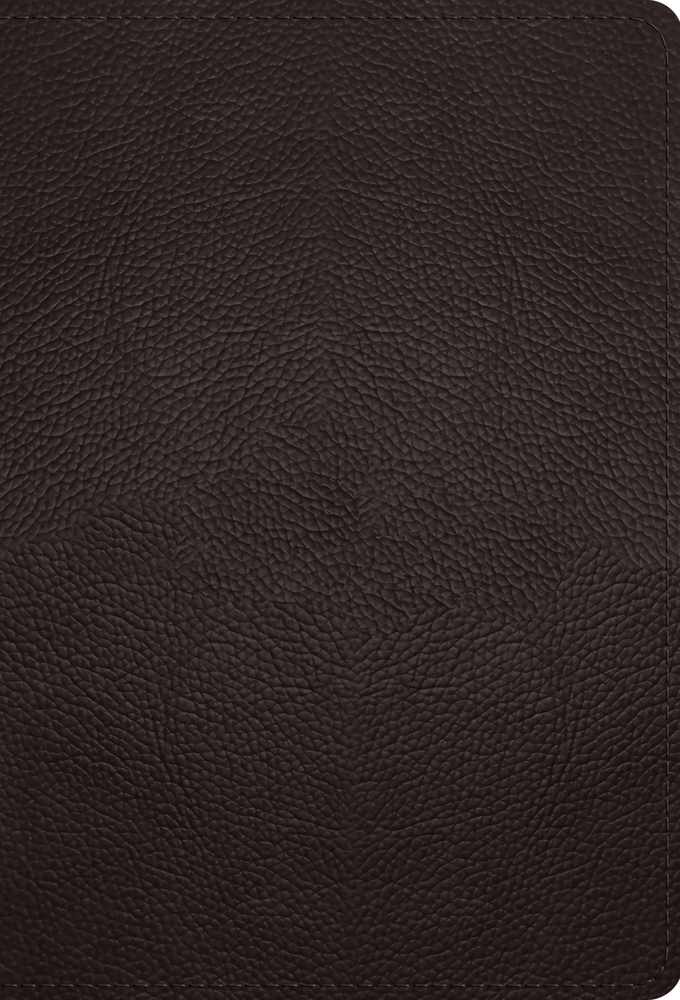 ESV Large Print Compact Bible, Red Letter (Buffalo Leather, Deep Brown) cover