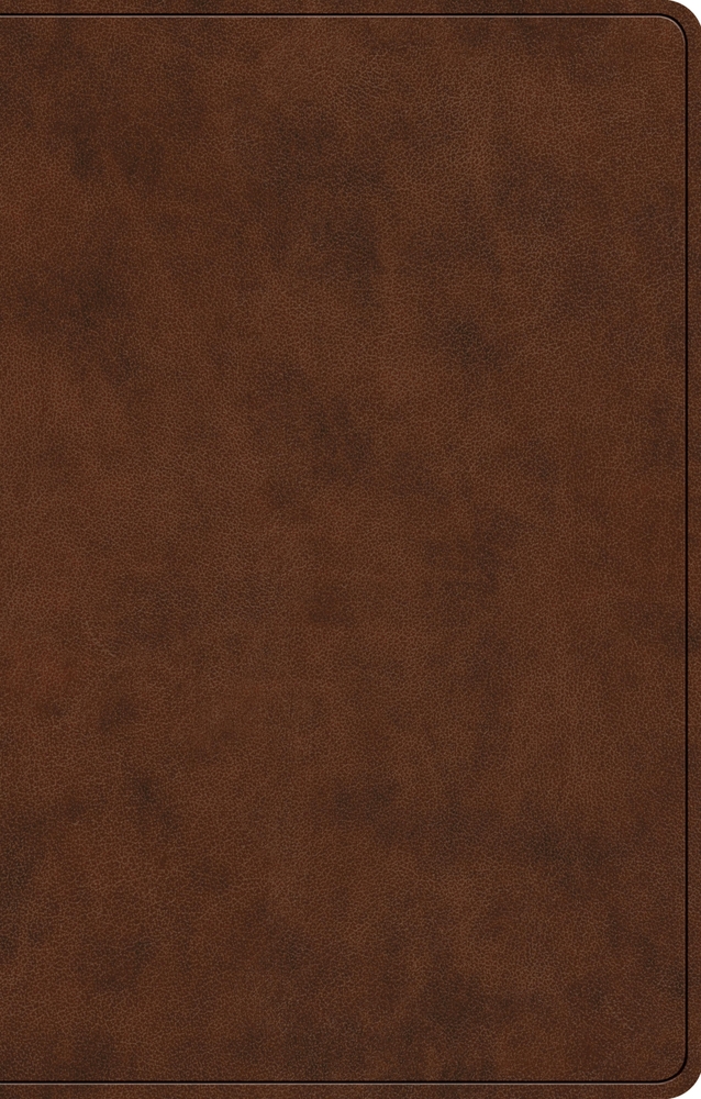 ESV Premium Gift Bible (Trutone, Brown) cover