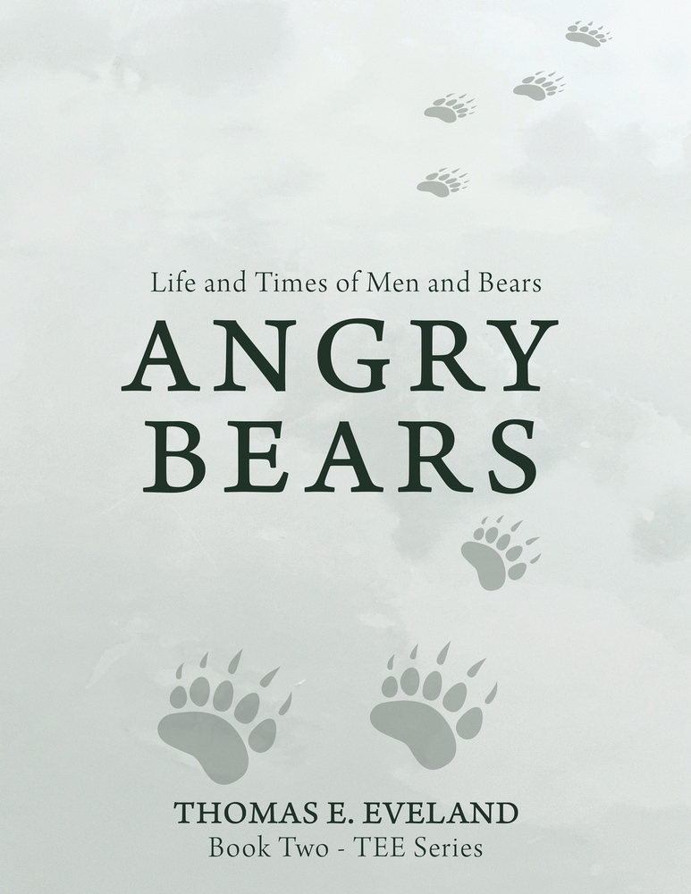 Angry Bears cover