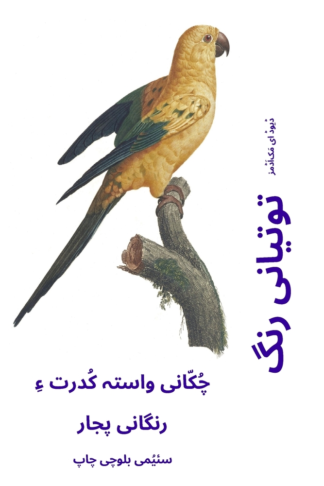 የዩኒኮርን የቁጥር መጽሐፍ: ውብ ዩኒኮርǛ cover