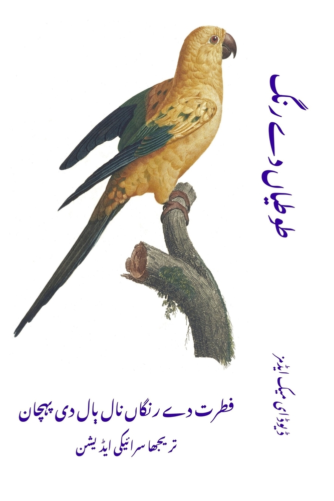 የዩኒኮርን የቁጥር መጽሐፍ: ውብ ዩኒኮርǛ cover